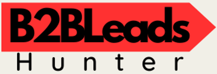 B2B Leads Logo